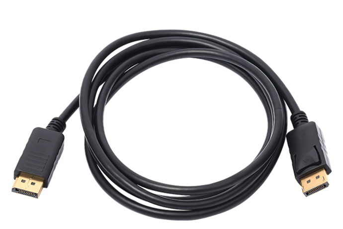 EIZO PP100-K Display Port signal cable, 1 meter, black