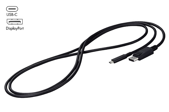 EIZO CP200-BK USB-C to DisplayPort signal cable, 2 meter, black