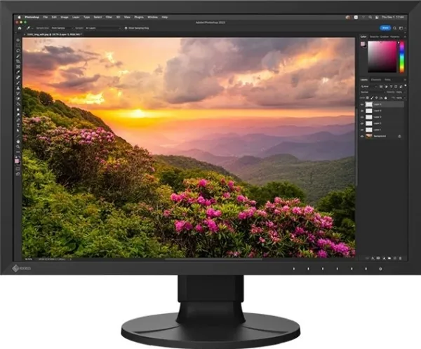 EIZO ColorEdge CS serija CS2400S Monitor, 24", 16:10, FHD, wide gamut - crni, CS2400S