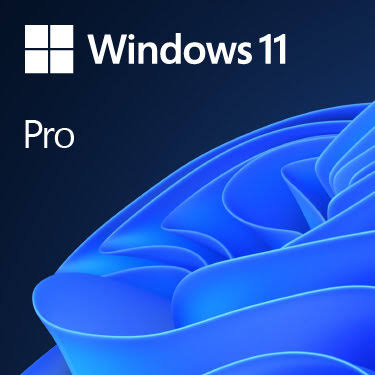 [89WIN11P] Microsoft Windows 11 Pro OEM ESD